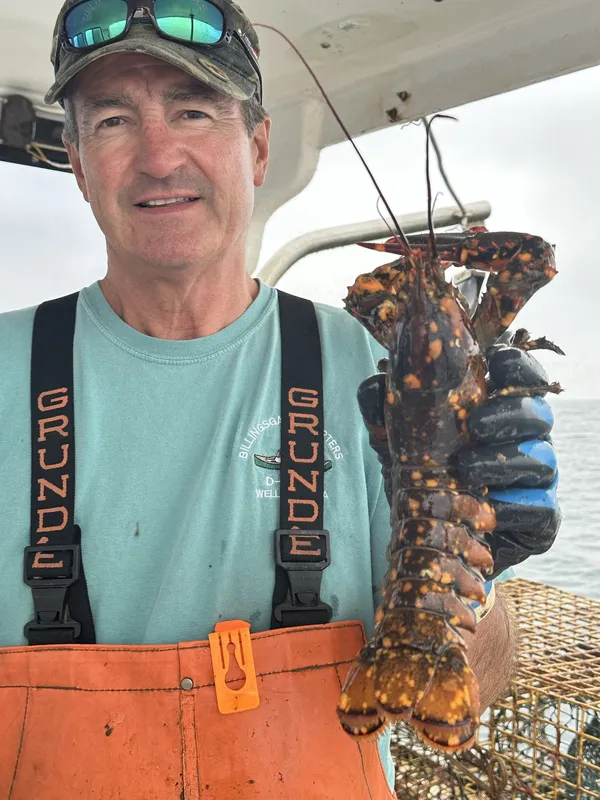 Captain Dave Stamatis onboard the D-Tails, holding a lobster